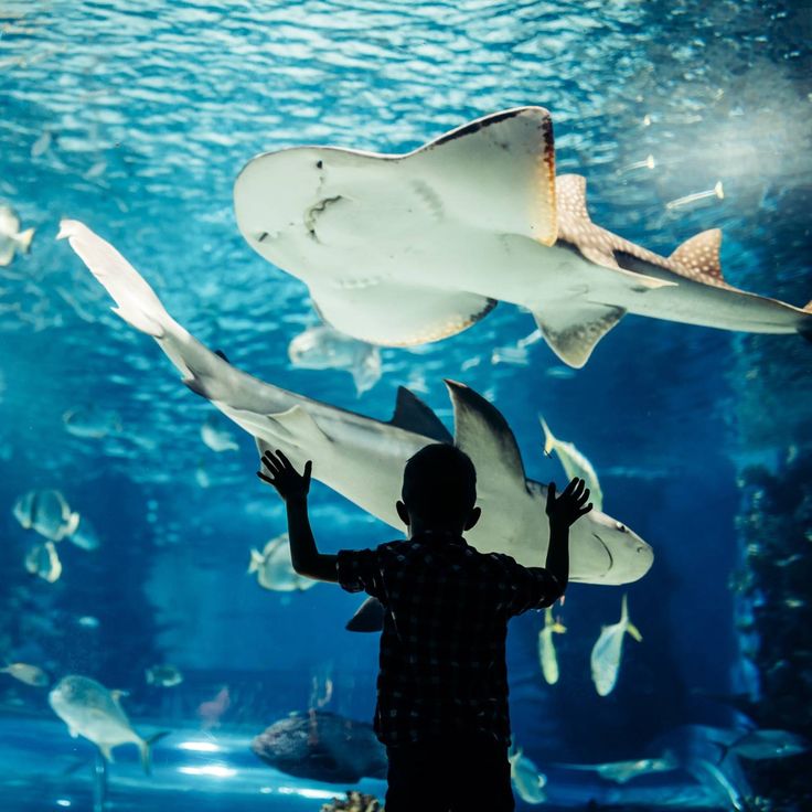 水族館内画像