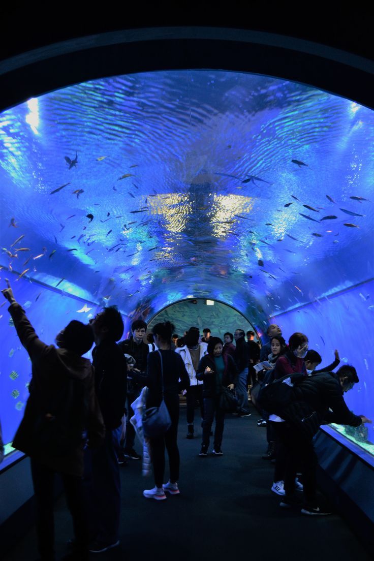 水族館内画像