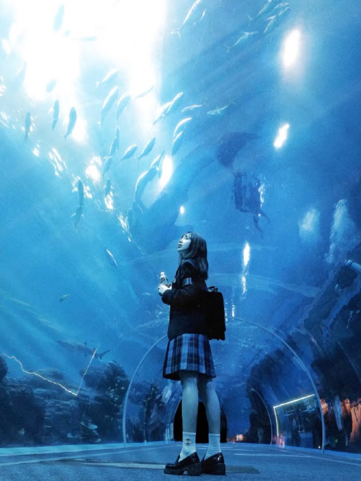 水族館内画像