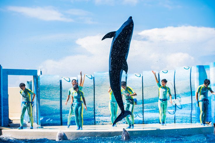 水族館内画像