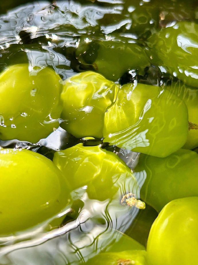 厳選された梅と品質管理