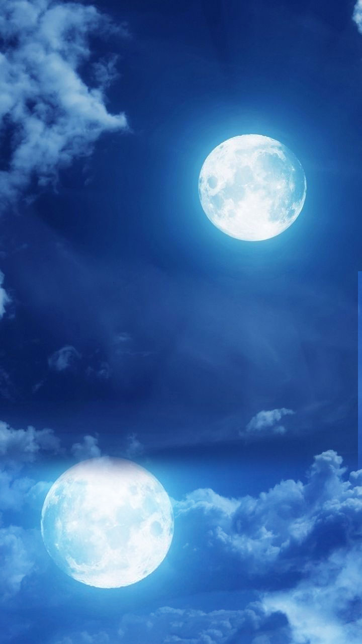 月明かりに照らされる